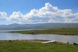 LAKE ARPI ARMENIAN HONEY 485g